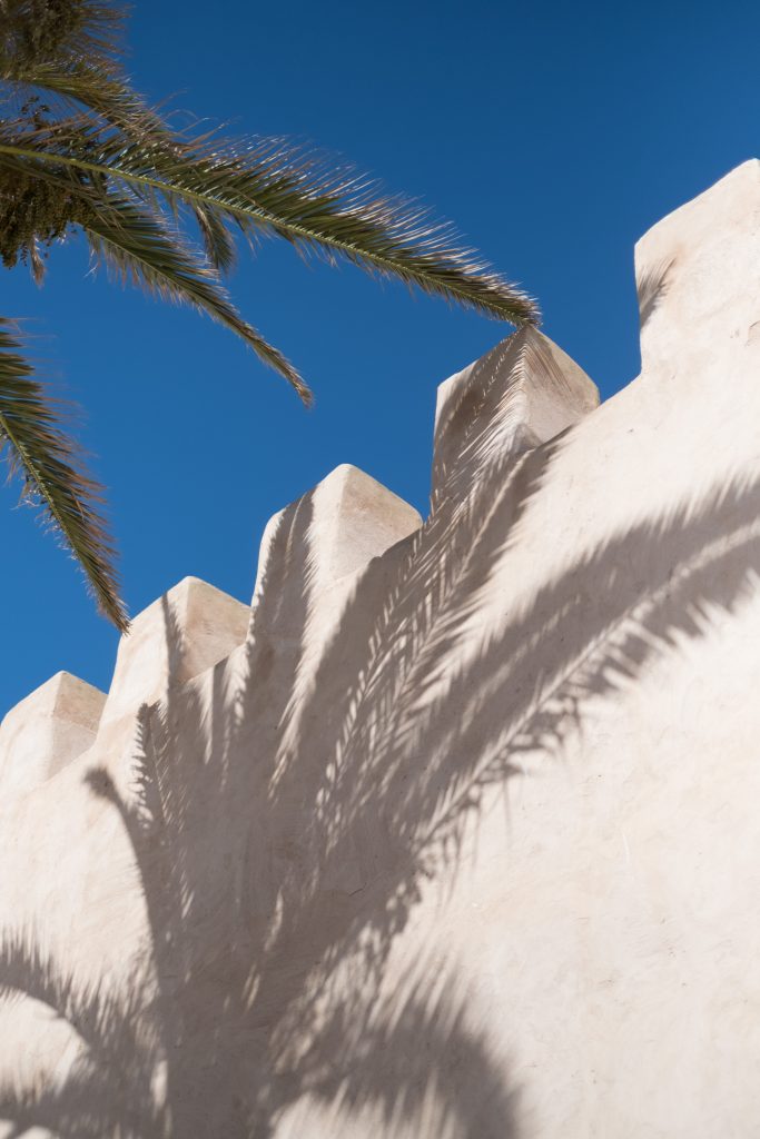 photo palmier et son ombre sur un mur de rempart Tanger